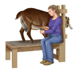 Hoof stand